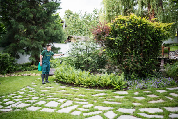 Best Pest Inspection Near Me  in Grover Beach, CA