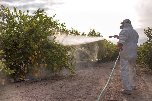Best Pest Prevention Services  in Grover Beach, CA