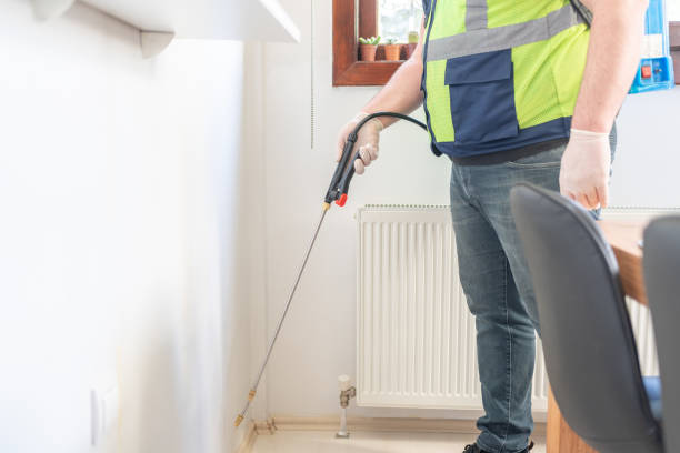 Best Affordable Pest Control Services  in Grover Beach, CA