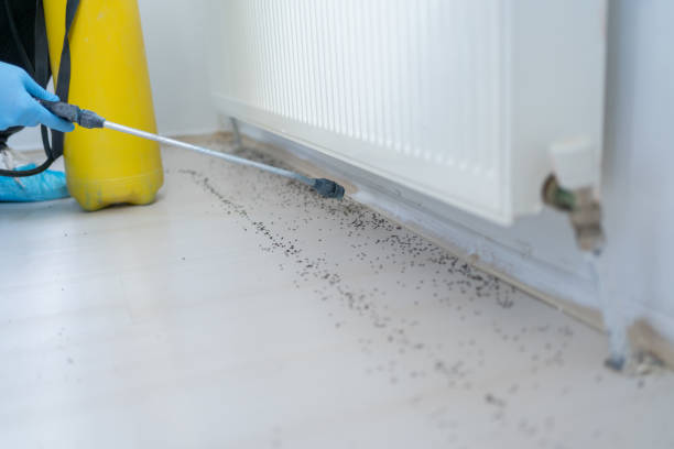 Best Pest Control for Restaurants  in Grover Beach, CA