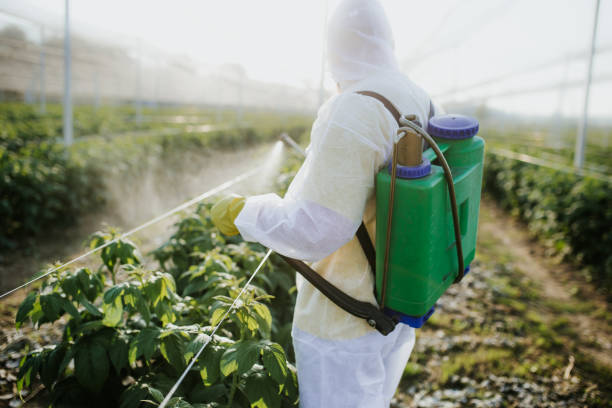 Best Commercial Pest Control Services  in Grover Beach, CA